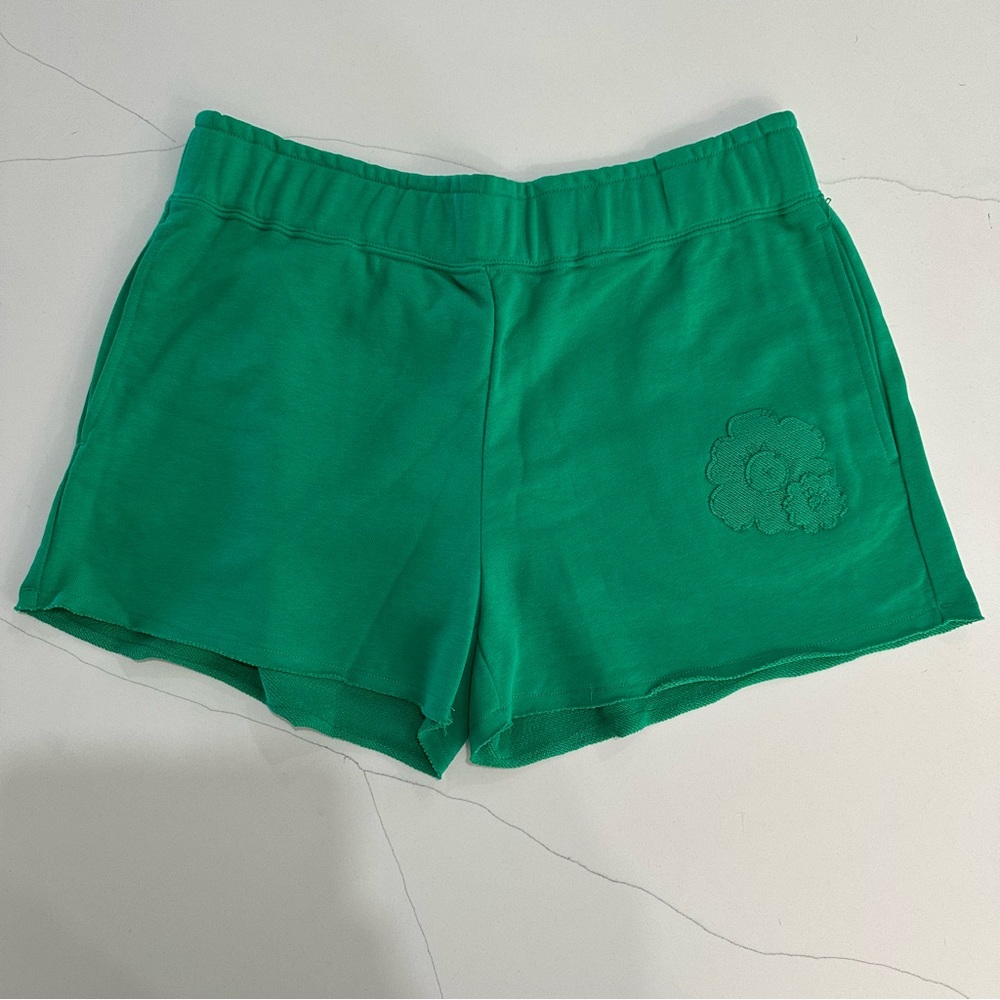 NIKE Women’s Shorts Green Pull on Standard Fit Shorts NEW size Large NEW
